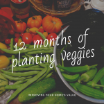 Year long veggie patch guide