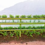 How to create a portable vertical garden